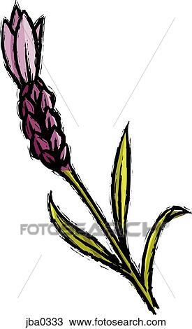 purple flower View Large Illustration Drawing - purple flower. Fotosearch