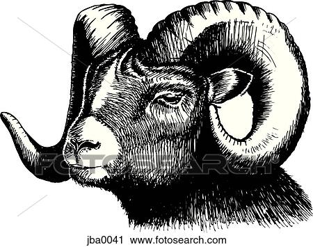 ram b&w View Large Illustration Clip Art - ram b&w. Fotosearch