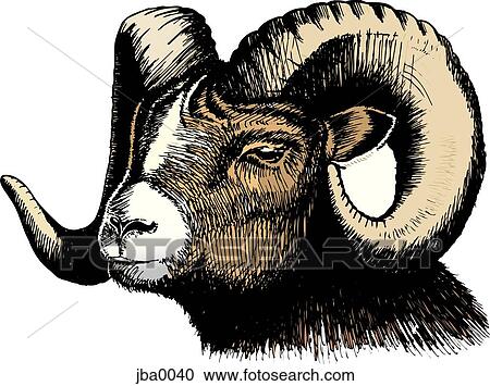 Clipart - ram. Fotosearch