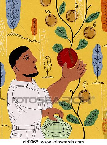 rare fruit View Large Illustration Stock Illustration - rare fruit. Fotosearch