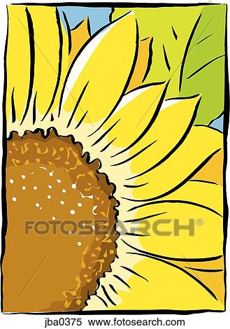 Stock Illustration - sunflower close-up. Fotosearch