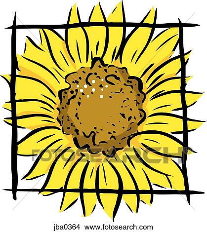 sunflower in a frame View Large Illustration Stock Illustration - sunflower in a frame. Fotosearch