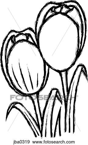 tulips b&w View Large Illustration Stock Illustration - tulips b&w. Fotosearch