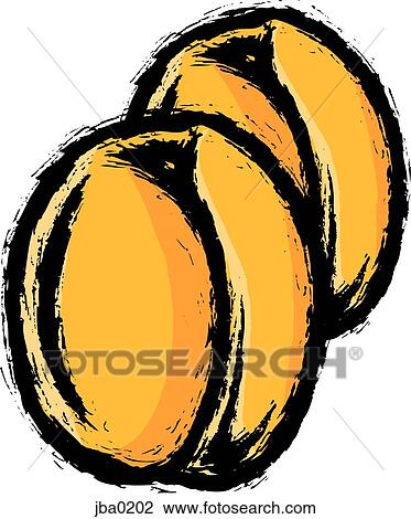 Drawing - two apricots. Fotosearch