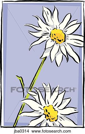 Stock Illustration - two daisies against a blue background. Fotosearch