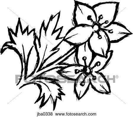 two flowers b&w View Large Illustration Stock Illustration - two flowers b&w. Fotosearch