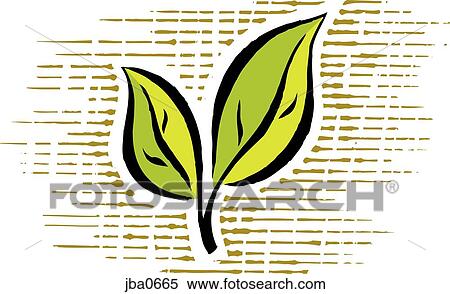 Stock Illustration - two green leaves. Fotosearch