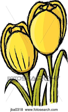 two yellow tulips View Large Illustration Stock Illustration - two yellow tulips. Fotosearch