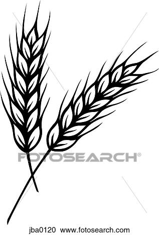 wheat b&w View Large Illustration Clipart - wheat b&w. Fotosearch