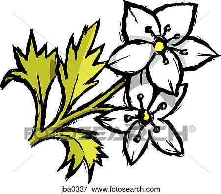 white flowers View Large Illustration Stock Illustration - white flowers. Fotosearch