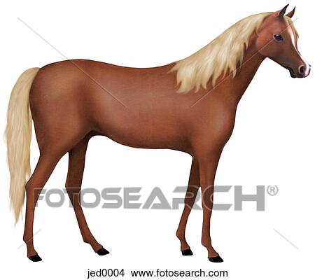 Stock Illustration - chestnut horse. Fotosearch
