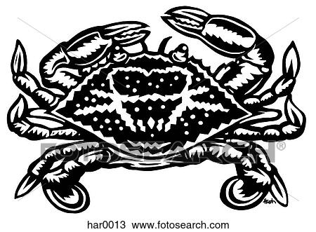 crab View Large Illustration Drawing - crab. Fotosearch