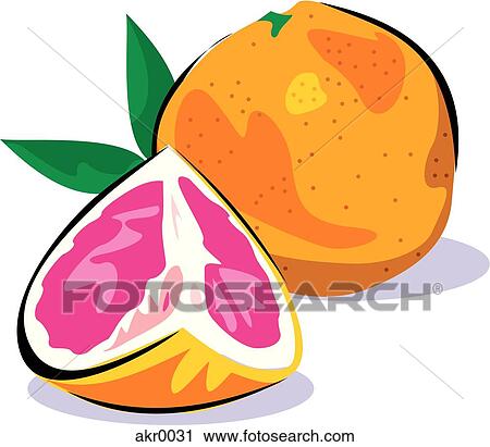 grapefruit View Large Illustration Clip Art - grapefruit. Fotosearch