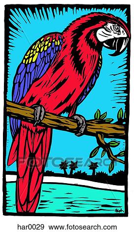 Stock Illustration - parrot. Fotosearch