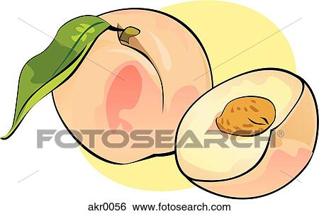 Stock Illustration - peach halve. Fotosearch