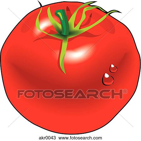 ripe tomato View Large Illustration Drawing - ripe tomato. Fotosearch