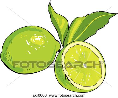Stock Illustration - sliced lime. Fotosearch