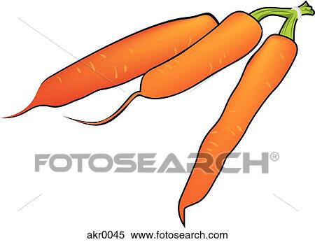three carrots View Large Illustration Stock Illustration - three carrots. Fotosearch
