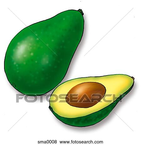 avocado View Large Illustration Stock Illustration - avocado. Fotosearch