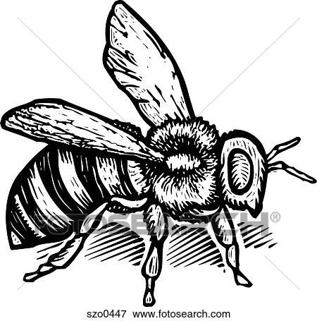 bee b/w View Large Illustration Stock Illustration - bee b/w. Fotosearch
