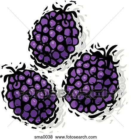 blackberries View Large Illustration Stock Illustration - blackberries. Fotosearch