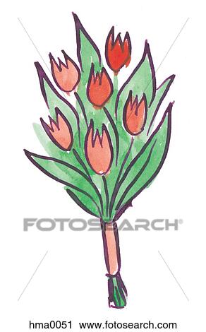 bouquet of red tulips View Large Illustration Clip Art - bouquet of red tulips. Fotosearch