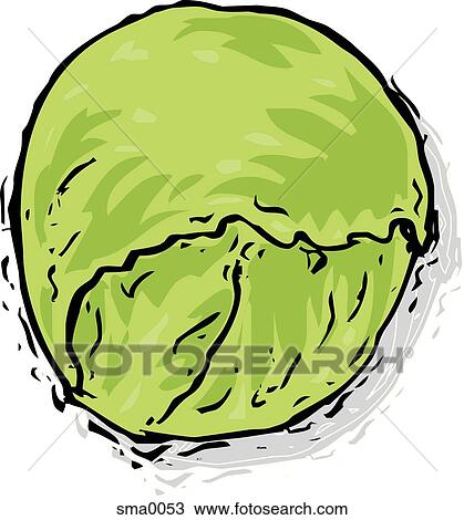 cabbage View Large Illustration Drawing - cabbage. Fotosearch