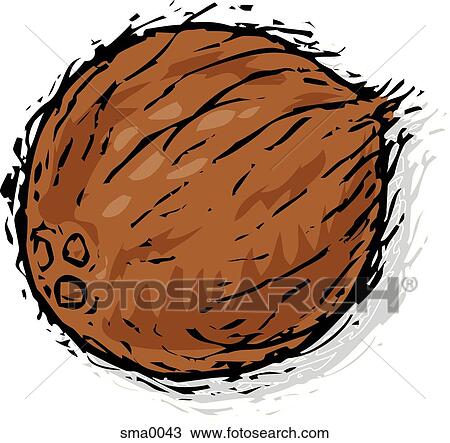 Coconut Drawing | sma0043 | Fotosearch