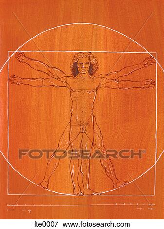 da vinci man View Large Illustration Stock Illustration - da vinci man. Fotosearch