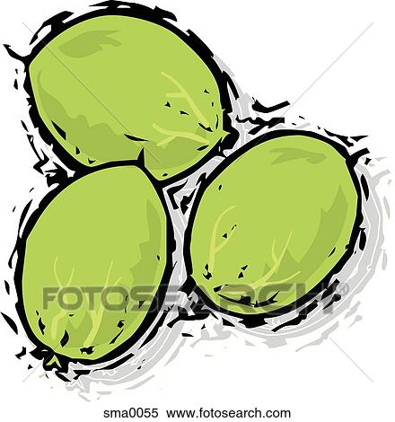 gooseberries View Large Illustration Stock Illustration - gooseberries. Fotosearch