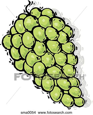 Stock Illustration - green grapes. Fotosearch