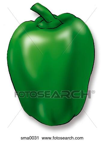 green pepper View Large Illustration Clip Art - green pepper. Fotosearch
