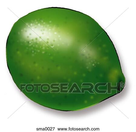 lime View Large Illustration Stock Illustration - lime. Fotosearch