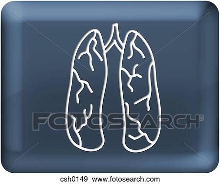 Stock Illustration - lungs. Fotosearch