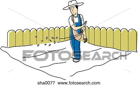 man seeding his garden View Large Illustration Stock Illustration - man seeding his garden. Fotosearch
