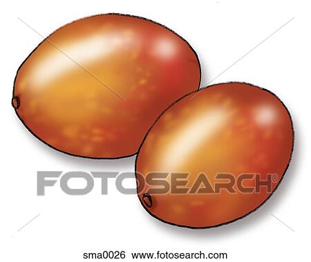 mangoes View Large Illustration Stock Illustration - mangoes. Fotosearch