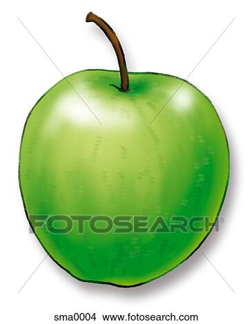 Stock Illustration - shiny green apple. Fotosearch