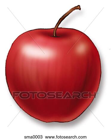 Drawing - shiny red apple. Fotosearch