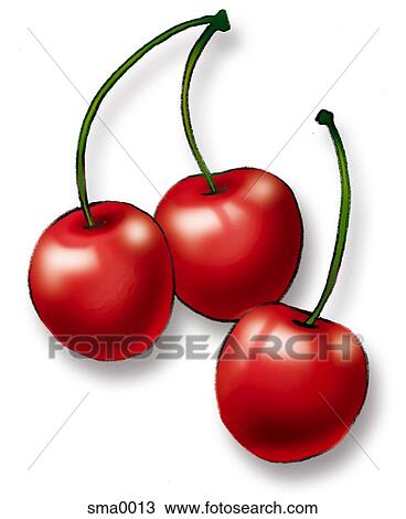Drawing - three cherries. Fotosearch