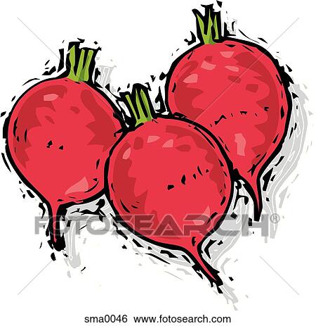 three radishes View Large Illustration Stock Illustration - three radishes. Fotosearch