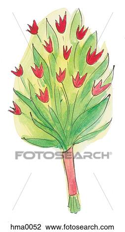 tulips View Large Illustration Drawing - tulips. Fotosearch