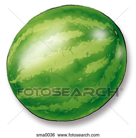 Stock Illustration - watermelon. Fotosearch