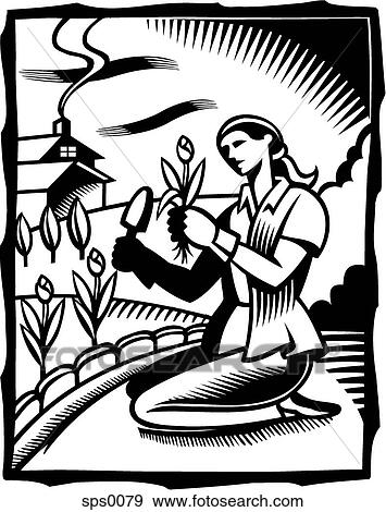 A black and white drawing of a woman doing gardening View Large Illustration Stock Illustration - A black and white drawing of a woman doing gardening. Fotosearch