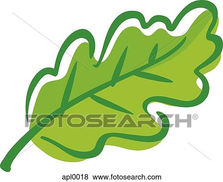 Stock Illustration - zeichnung, von, a, blatt apl0018 - Suche Clip Art