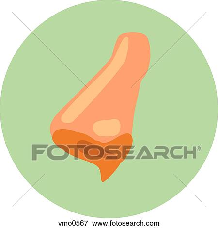 Stock Illustration - Illustration of a nose. Fotosearch