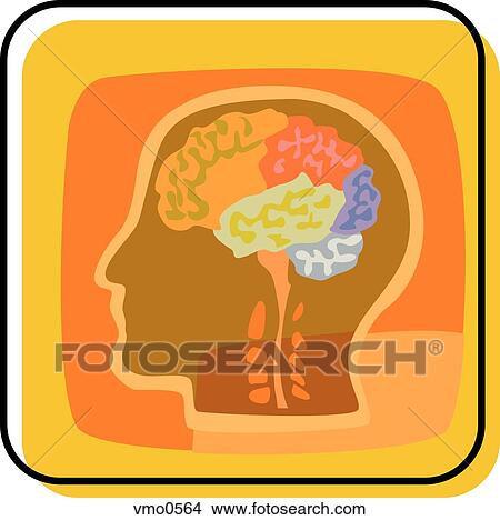 Illustration of the human brain View Large Illustration Stock Illustration - Illustration of the human brain. Fotosearch