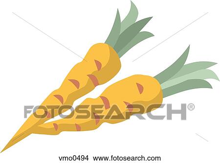 Illustration of two carrots View Large Illustration Stock Illustration - Illustration of two carrots. Fotosearch