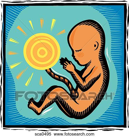 a baby in utero with the umbilical cord attached to a sun View Large Illustration Stock Illustration - a baby in utero with the umbilical cord attached to a sun. Fotosearch