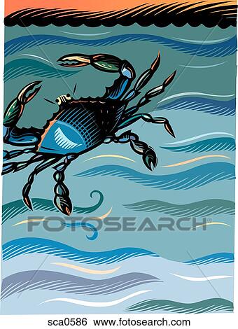 Stock Illustration - A blue crab in the water. Fotosearch