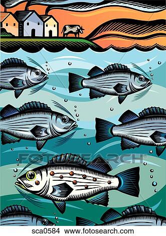 A diseased fish swimming in the opposite direction from the healthy fish View Large Illustration Stock Illustration - A diseased fish swimming in the opposite direction from the healthy fish. Fotosearch